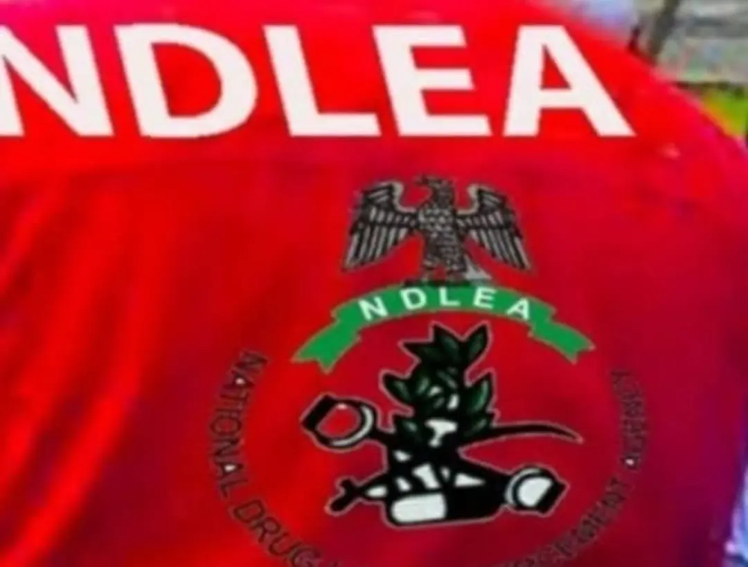 NDLEA Arrests Two Suspected Drug Traffickers in Delta, Seizes Illicit Drugs Worth ₦300m
