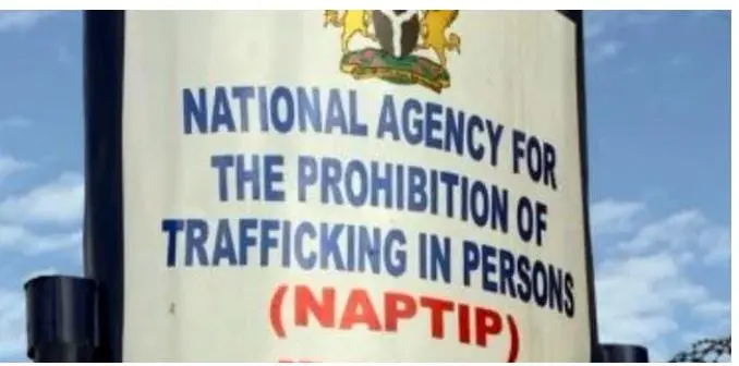NAPTIP rescues 17 trafficked victims, arrests four suspects in Anambra