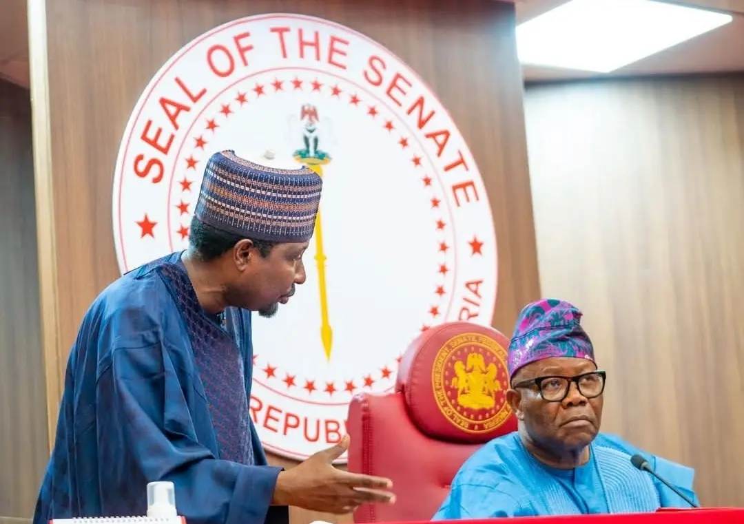 Senate Passes New Electoral Bill After Showdown Over Manual Result Transmission
