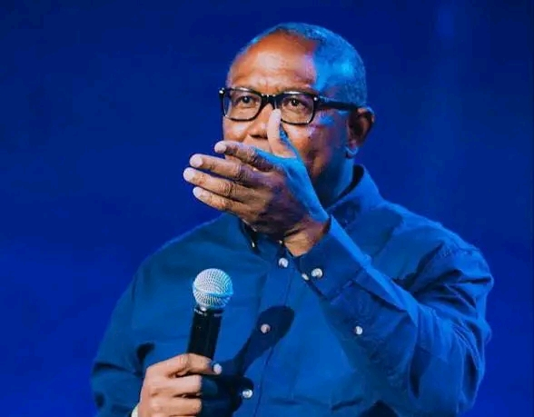 “North Is Nigeria’s Greatest Asset” — Peter Obi Unveils Bold Transformation Agenda