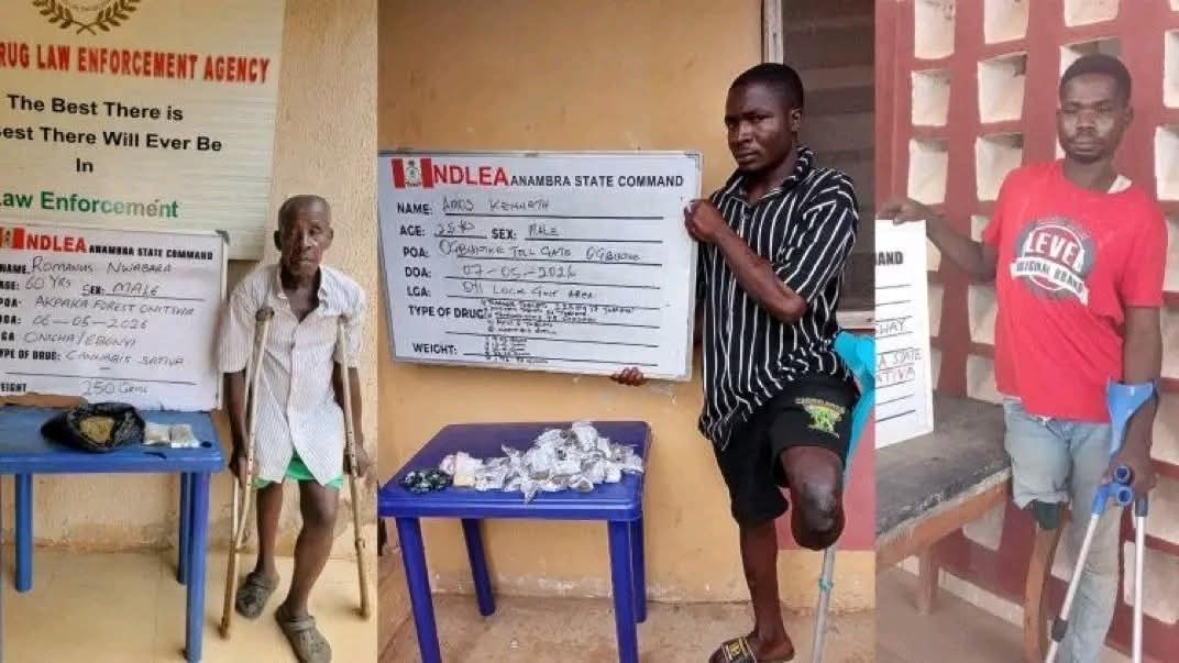 NDLEA Nabs Three Persons with Disabilities in Drug Busts, Uncovers ₦5.8bn Cannabis Hub in Lagos