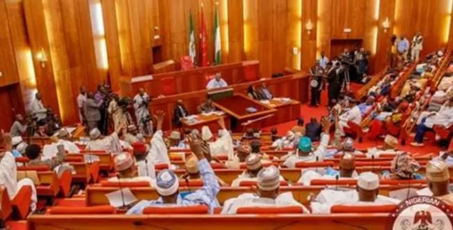 Ekiti North APC Youths Reject ‘Imposed’ Senatorial Candidate, Insist on Ikole LG Representation