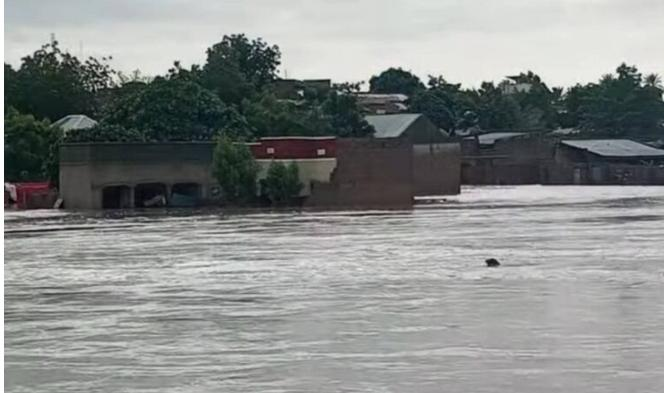 NCDC Raises Alarm as 10 States Face Cholera Risk Amid Flood Forecast