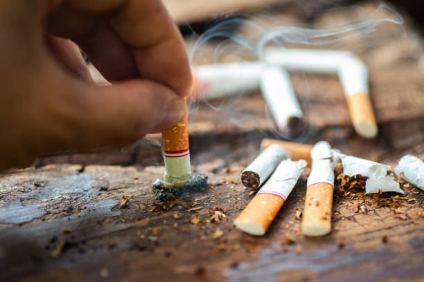 Tobacco Waste Crisis: African Climate Reporters Warn of Rising Pollution Threat to Farms, Water, and Cities