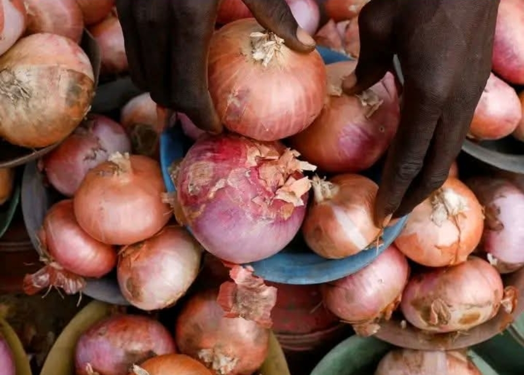 Nigeria–Ghana Trade Row Deepens as Nigerian Onion Traders Halt Exports Over Harassment