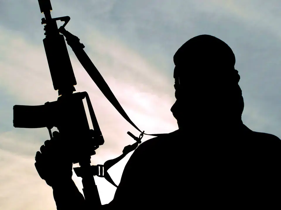 Boko Haram Kidnaps Scores of Pupils in Borno School Raid as Soldiers Allegedly Withdraw