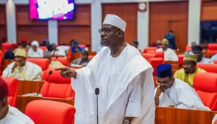 ‘What We Passed Is Not What Tinubu Signed’ — Senator Ndume Alleges Alterations in New Tax Law