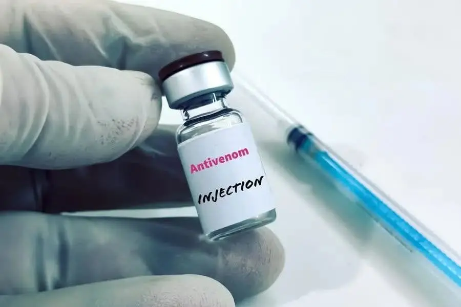 FCTA Assures Residents of Adequate Antivenom Supply After Singer’s Snakebite
