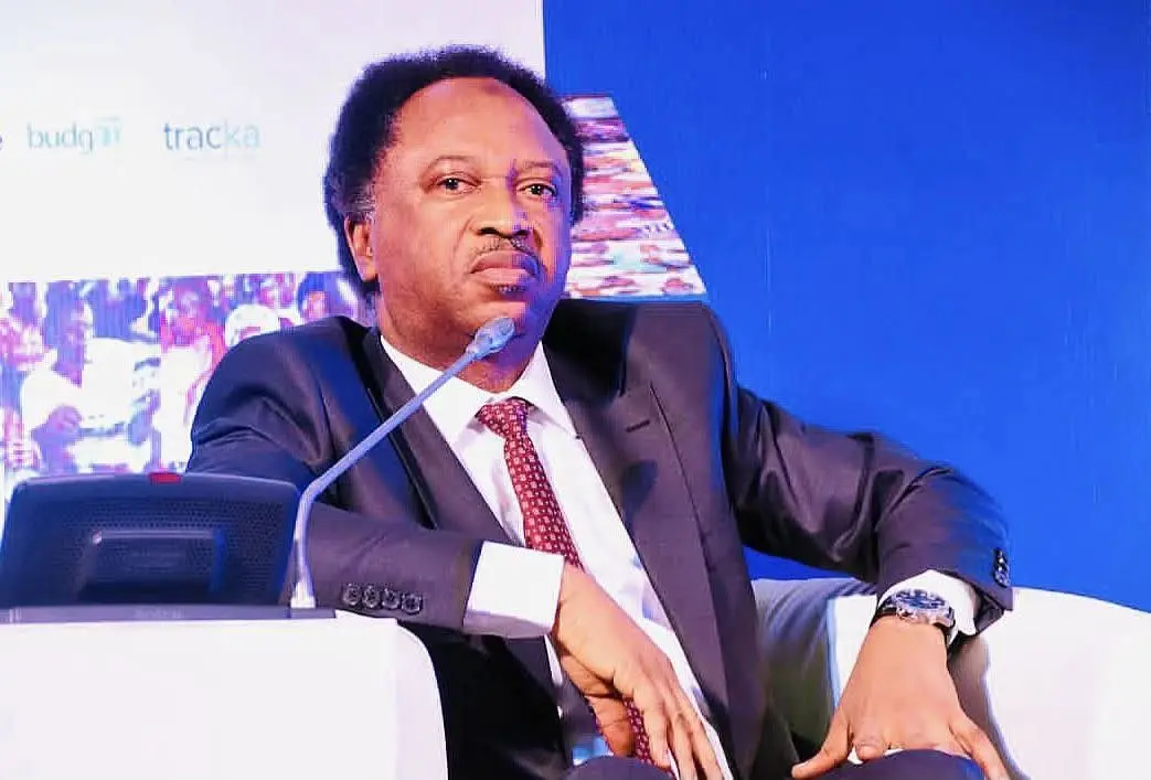 Shehu Sani Slams Nigerians for Defending Country Against Africans but Staying Silent When Americans Mock Them