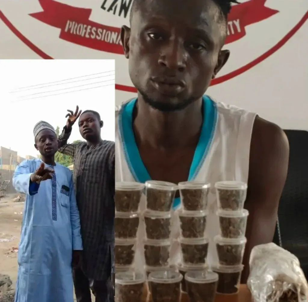 Nigerian Man Jailed 7 Years for Advertising Cannabis on Social Media